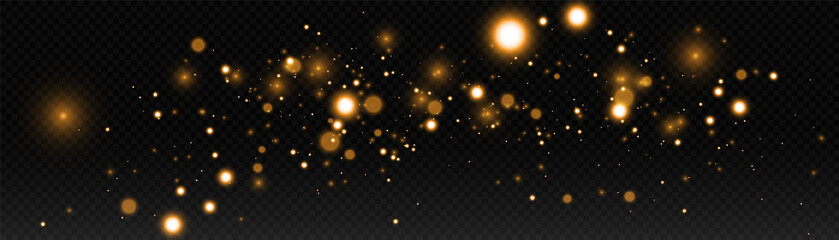Leinwandbilder - Abstract falling golden lights. Magic gold dust and highlights. Festive background. Golden Rain.