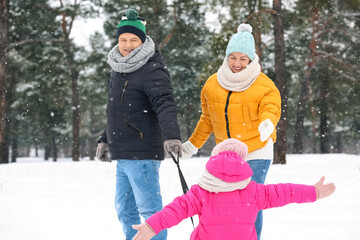 Wall Mural - Little girl with her grandparents sledging on snowy winter day