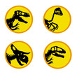 jurassic animals sekeleton suitable for dinosaurs themed illustration