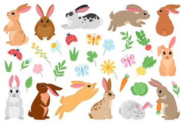 Wall Mural - Cartoon spring bunny, cute easter rabbits with carrot and flowers. Spring bunny pets, white and brown rabbit characters vector illustration set. Easter holiday hare