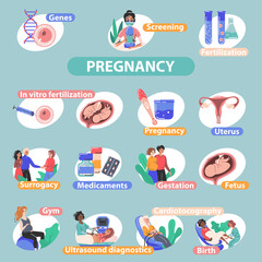 Poster - Pregnancy Fertility Flat Infographics