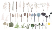 Vector Set Of Boho Plants. Beautiful Pastel Wild Grass And Flowers. Collection Of Floral Elements: Pampas Grass, Poppy Heads, Palm Leaves, Cotton And Other. Stylish Flat Elements For Your Design