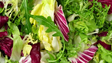 Wall Mural - Fresh salad. Vegan salad with arugula, lettuce, Radicchio, endive. Healthy food concept. 4K UHD video
