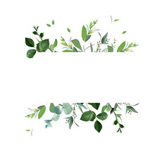 Herbal Horizontal Vector Frame. Hand Painted Plants