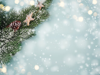  winter background with fir branches cones and snow