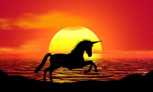 Unicorn Horse Silhouette Sunset Beach Sunrise Landscape Illustration
