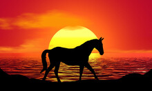 Horse Animal Silhouette Sunset Beach Sunrise Landscape Illustration