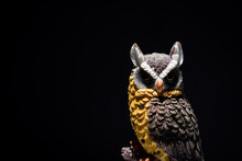 Closeup Of A Scary Long-eared Owl Isolated With A Black Background
