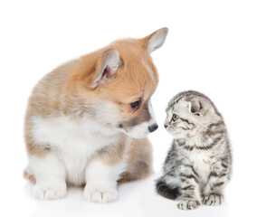 Sticker - Cute Pembroke welsh corgi puppy and tiny kitten look at each other . Isolated on white background