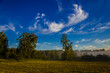 © efimenkoalex - a thick morning fog covers the green juicy and freshly mown grass