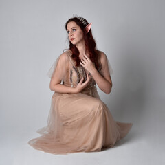 Canvas Print - Full length portrait of pretty female model with red hair wearing glamorous fantasy tulle gown, crown and shroud veil.  Posing in a seated kneeling pose on a studio background