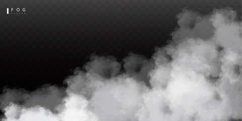 Wall Mural - White fog or smok. Realistic fog. Atmosphere mist effect and smoke clouds isolated on transparent background. Vector abstract cloud texture