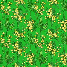 Yellow Mimosa, Yellow Spot Flowers, Splashes. Spring Wreath Of The Brightest Yellow Flowers. Mimosa On A Green Background With Yellow Elements, Hello Spring! Beautiful Spring Seamless Pattern For Wall