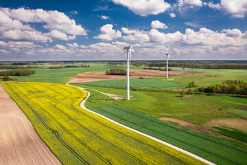 Poster - Amazing yellow rape fields and wind turbine. Poland agriculture.