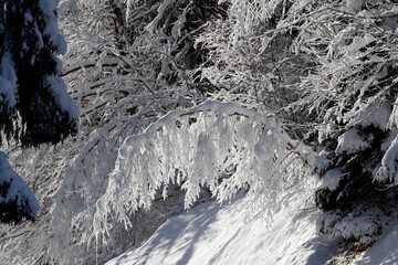 Poster - Daily life. French Alps.