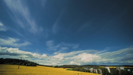 Canvas Print - Blooming rapeseed field and sky with cumulus and cirrus clouds time lapse