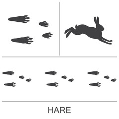 Hare silhouette and prints of the hind and fore paws. Vector illustration on a white background.
