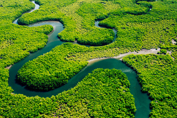 ecosystem and healthy environment. concepts and nature background. tropical rainforest. aerial top v