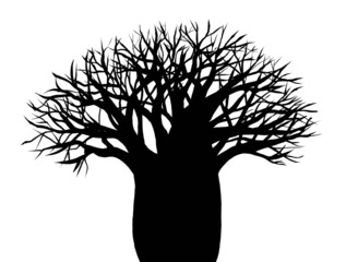 Silhouette of African baobab tree on white 