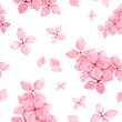 Seamless watercolor pattern with delicate pink hydrangea branches, individual flowers and petals of different sizes. Great for fabric, paper, wallpaper, textile design
