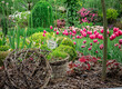Piękne kwitnące tulipany w niesamowitym ogrodzie