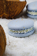 Wall Mural - Cake macarons stuffed with coconut and white chocolate. Exquisite French dessert for coffee drinking.