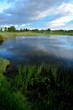 Feuchtgebiet / Teich auf der Kroatischen Insel Pag // Wetland / Pond on the Croatian Island of Pag