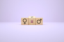 Feminism And Equality Concept Between Women And Men With Wooden Cubes. International Womens Day