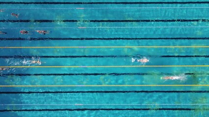 Wall Mural - Aerial top view of group of swimmers training in swimming pool. Many sportive people swim in Open Water Swimming pool.