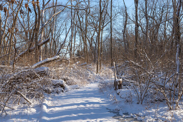 Wall Mural - Hiking trail.