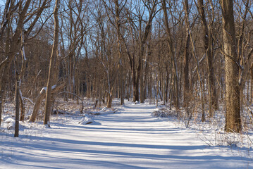 Hiking trail.