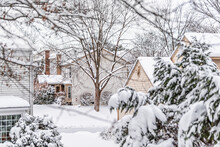 Community Neighborhood Single Family Houses Backyard With Snow Covered Trees Shrubs Homes After Christmas Blizzard White Storm In Northern Virginia Suburbs Landscape With Nobody