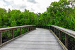 © Kristina Blokhin - Naples in Southwest Florida Coller County Gordon River Greenway Park wooden boardwalk trail through mangrove swamp forest landscape summer view with nobody