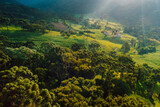 Fototapeta Na ścianę - Aerial view of rural area with mountains and corn field in the municipality of Urubici, Santa Catarina, Brazil