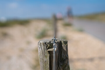 Wall Mural - Old wooden plank on the beach