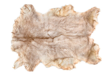 Goat fur isolated on white background. Top view.