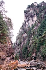 Wall Mural - river in the mountains