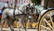 © corradobarattaphotos - carriages and horses at popular festivals in Andalusia