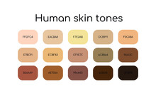 Skin Tones Palette By Color Codes. Different Types Human Skin.  Flat Icon Set. Vector  