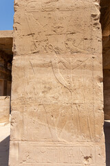 Wall Mural - Relief details and Egyptian hieroglyphs at Karnak temple complex in Luxor, Egypt