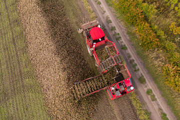 Aufkleber - Combine harvester pours the harvest of sugar beet into a heap on the field. Aerial view	