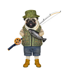 Canvas Print - A dog pug fisherman holds a fish he has caught. White background. Isolated.