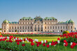 Vienna Austria city skyline at Belvedere Palace and spring tulips bulb flower