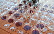 A lot of glasses with wine on the table for tasting