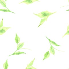 seamless pattern watercolor leaves