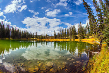 Canvas Print - Forest reflected in water