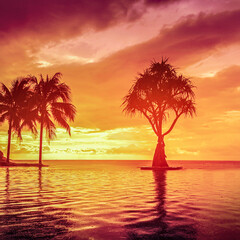 Wall Mural - a beautiful palm tree against the background of an orange pink sunset is reflected in the water. tropical relaxing evening, reflection of the sky and ripples on the sea water. fabulous landscape