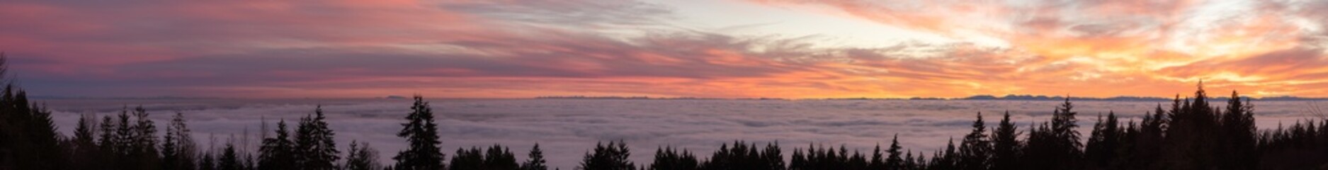 Wall Mural - Canadian Nature Panorama View of Evergreen Trees on a mountain above the clouds. Dramatic Winter Sunset. Taken at Cypress Lookout, Vancouver, British Columbia, Canada. Panoramic Background