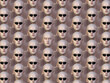 © Photobank - array of human heads in sunglasses