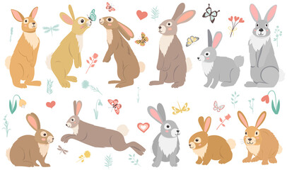  hare, rabbit set flat design , cartoons, isolated vector